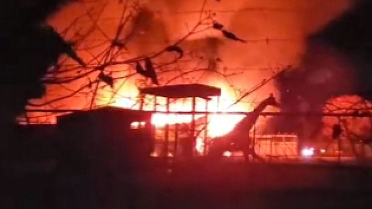 10 animals died in the African Safari Wildlife park fire in Ohio. Image via Sky News.