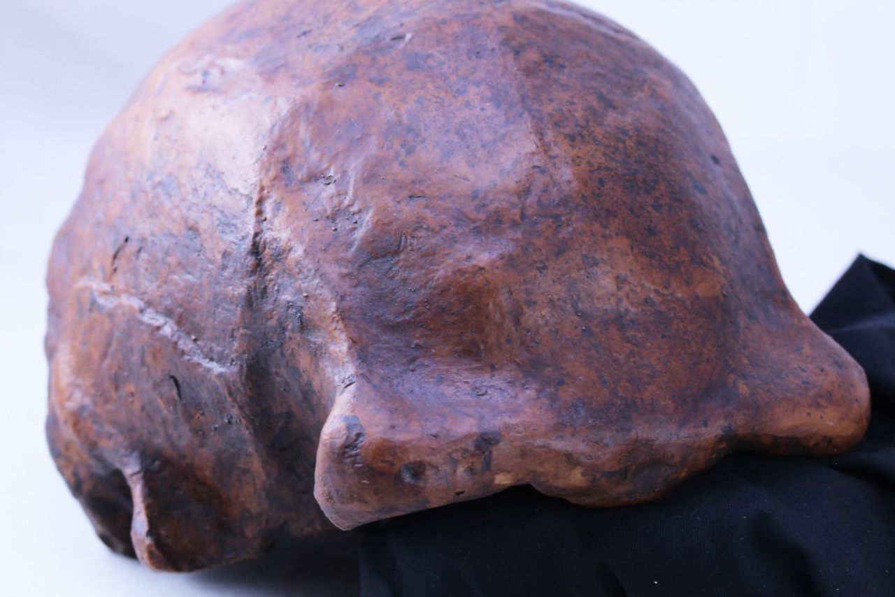Researcher finds last known colony of homo erectus on an island in Indonsia, dated to almost 100,000 years ago. Image via Griffith University.