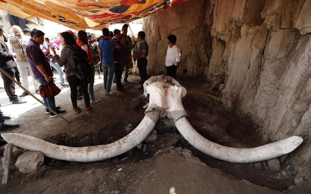 Researchers discovered human-made mammoth traps in Mexico. Image by Jose Mendez.