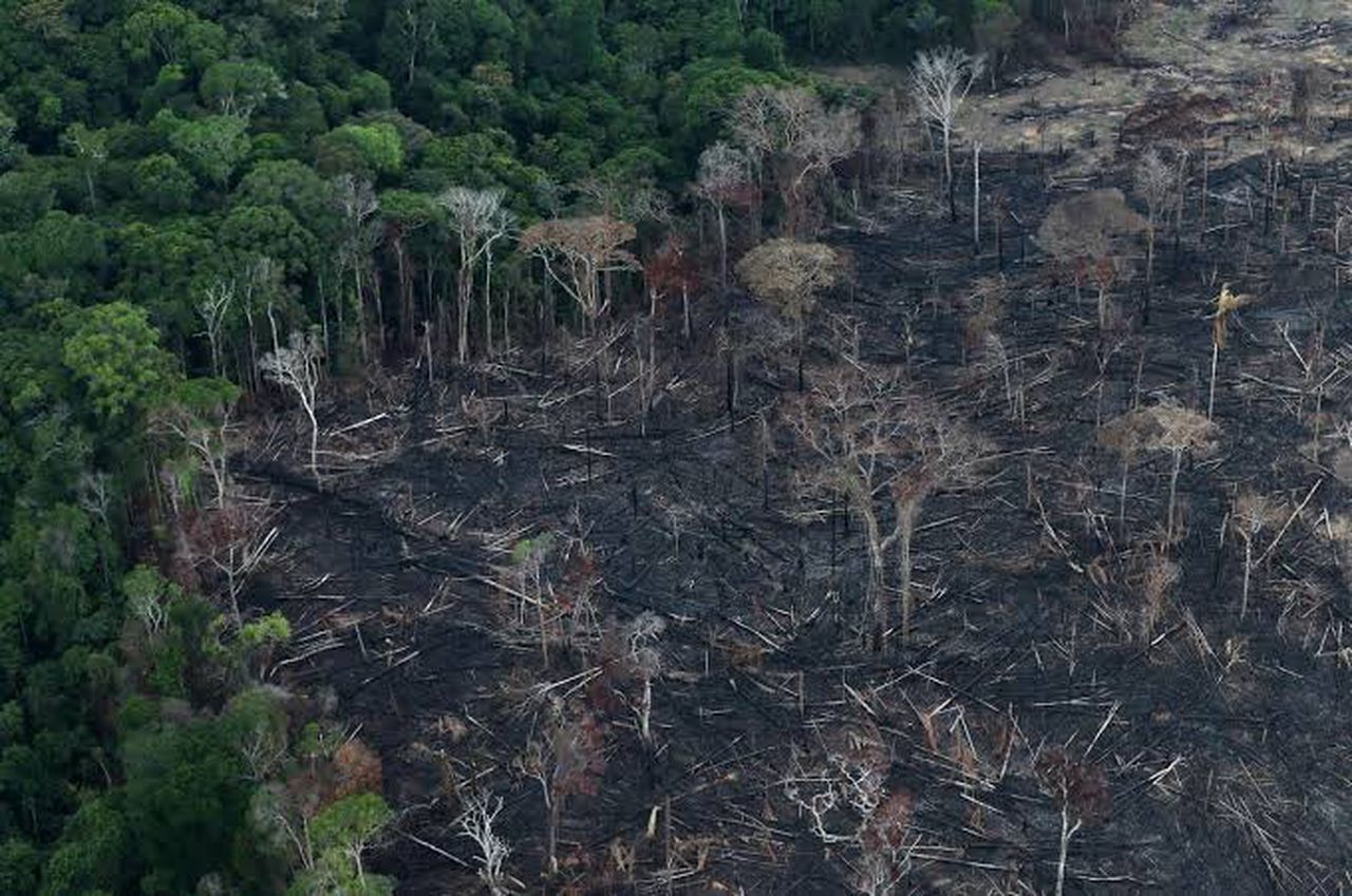 The current right wing government in Brazil is often blamed for the deforestation,image via Reuters