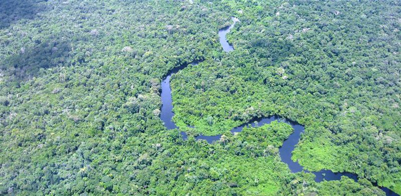 Amazon rainforest might turn into carbon emitter rather than absorber due to climate change. Image via NOAA.