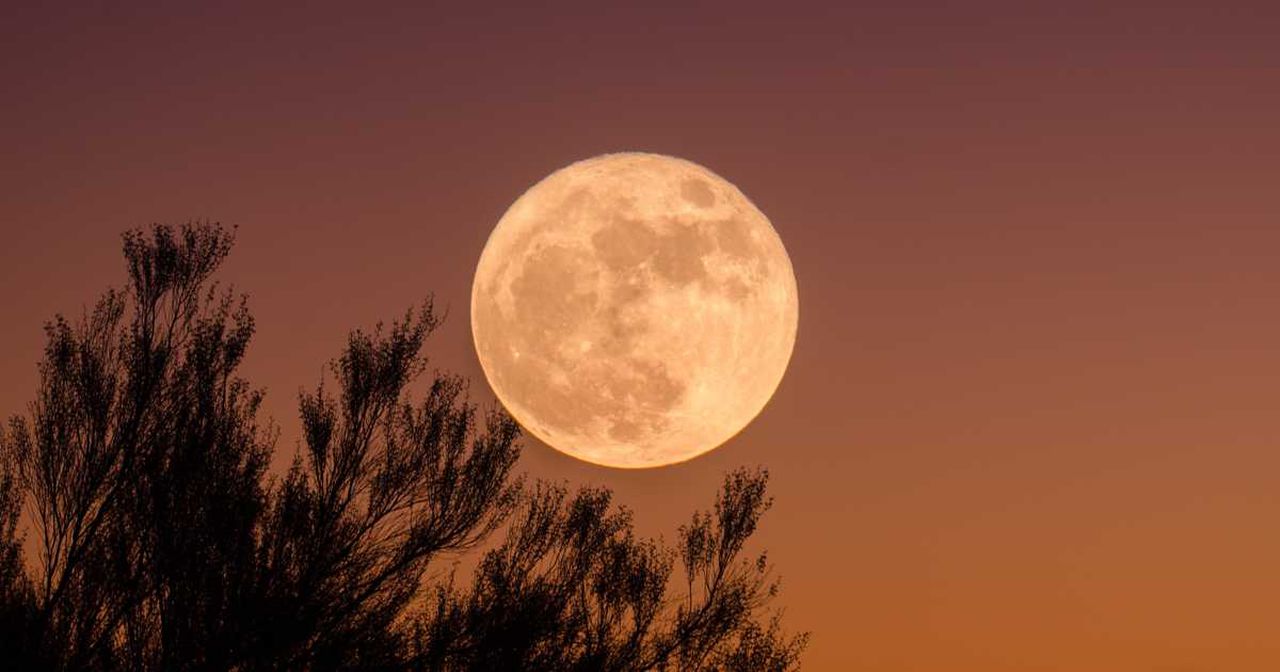 Vancouver residents will see a gigantic supermoon in April. Image via Narcity.