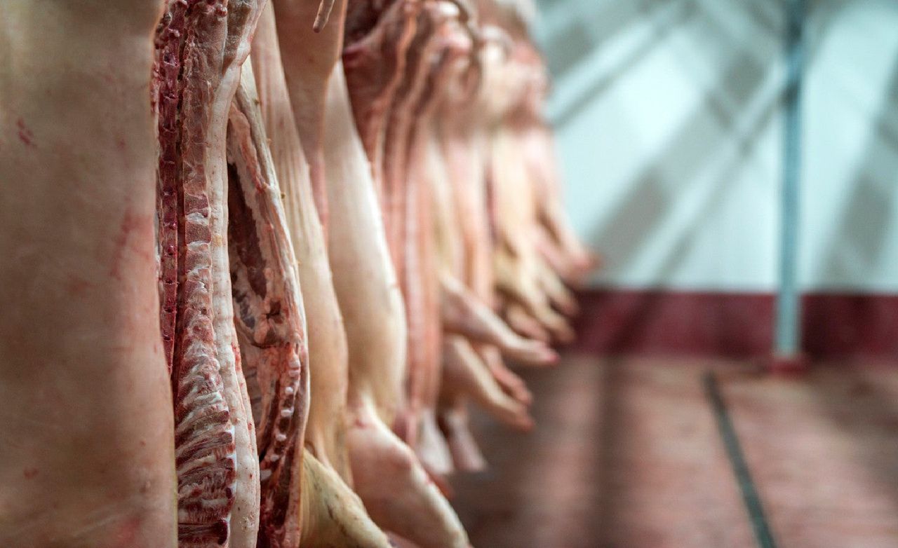 Over 4,900 meat processing employees have tested positive for coronavirus: CDC