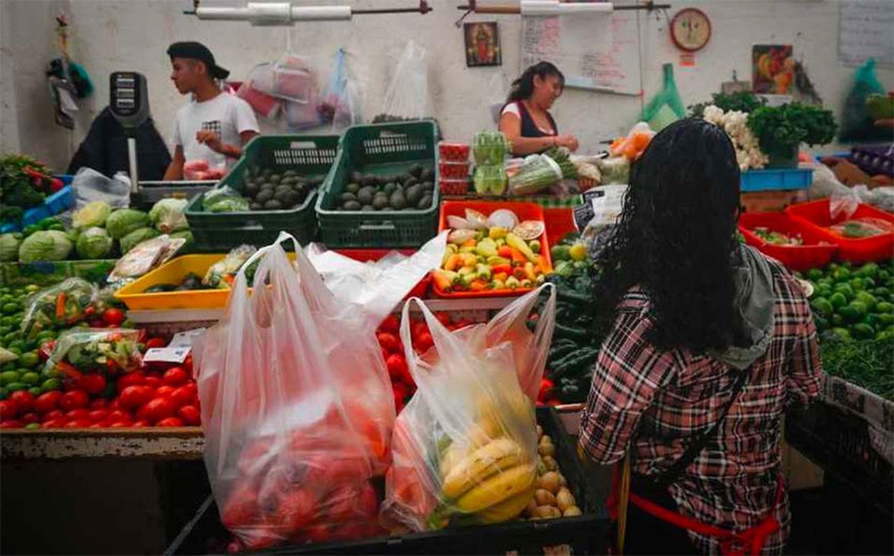 People in Mexico have quickly shifted to alternatives to plastic bags, image via Mexico News Daily