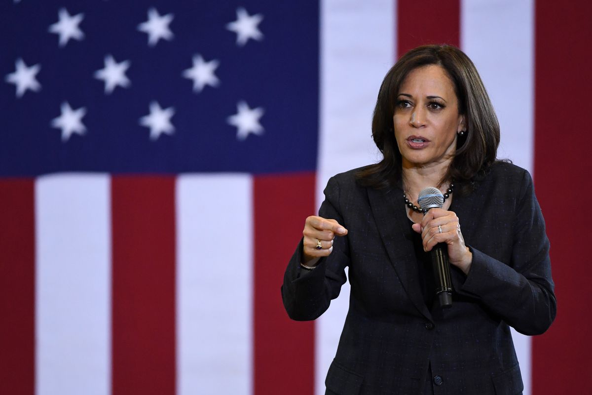 Former Democratic nomination candidate Kamala Harris endorses Joe Biden campaign. Image via Vox.