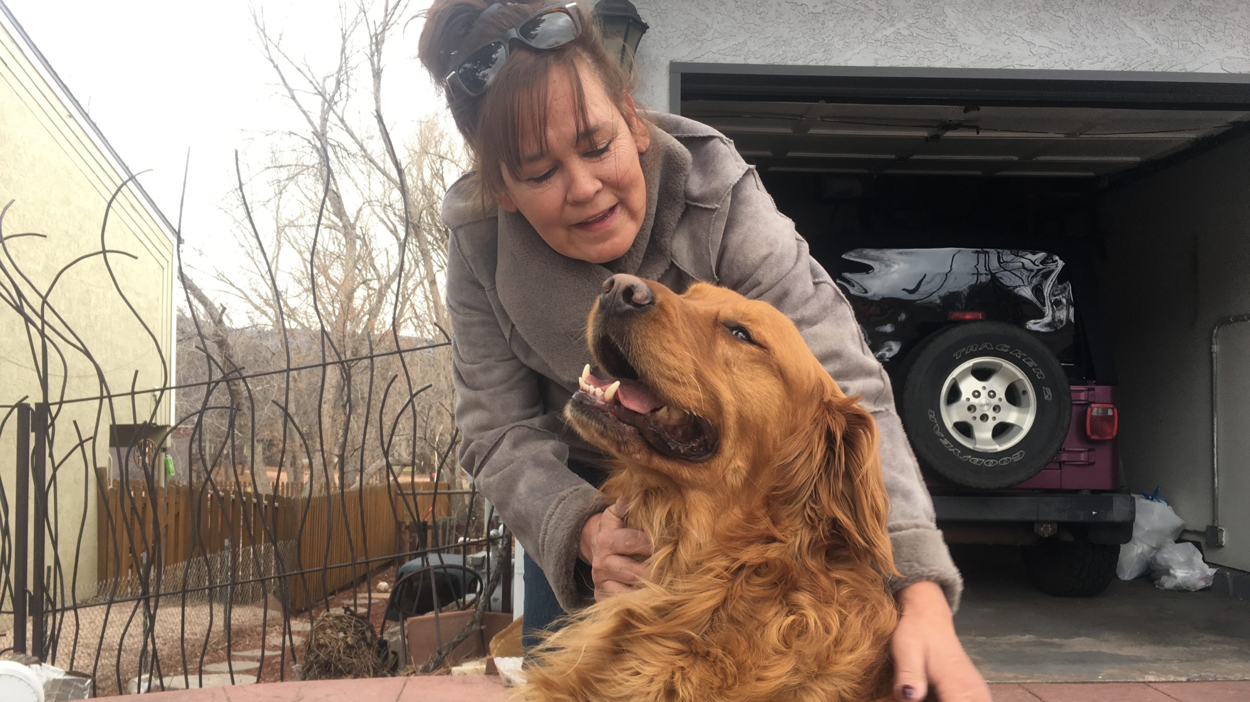 Colorado pup delivering groceries to at-risk neighbor goes viral. Image via KRDO.