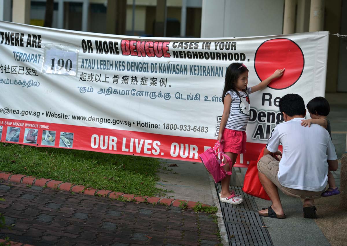 Singapore fights the biggest dengue outbreak in history