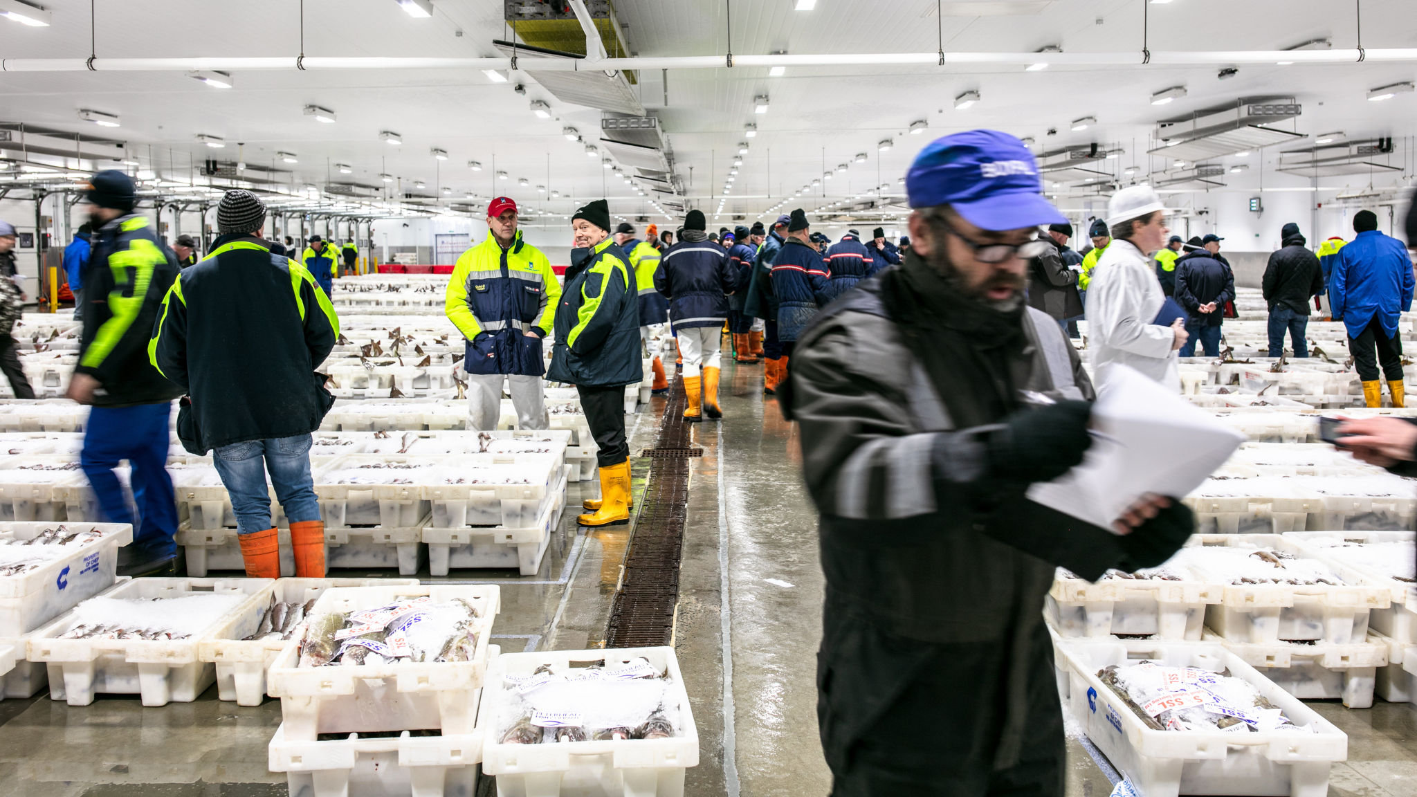 Ahead of Brexit, EU fishing ships will no longer have automatic access to UK waters. Image via Financial Times.