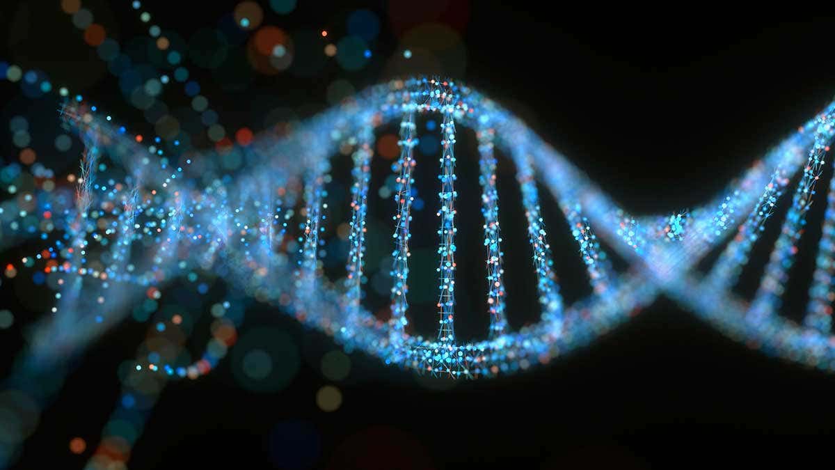 These scientists have learnt to alter DNA, image via Getty Images