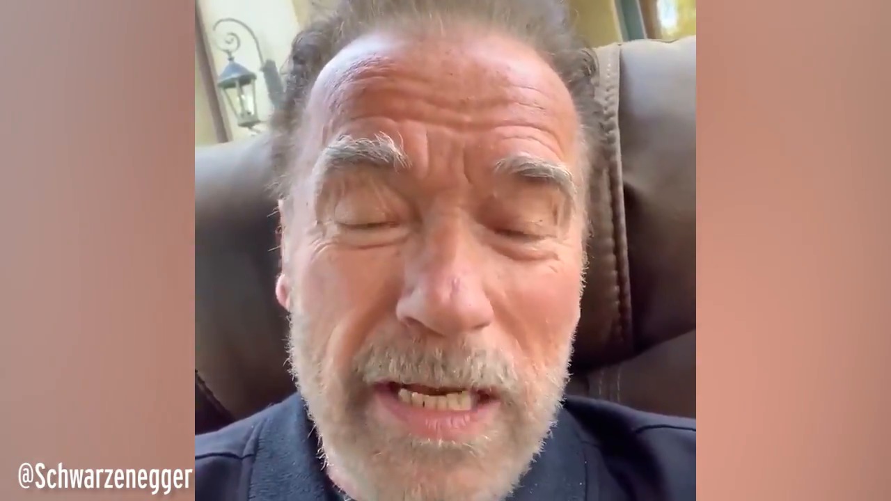 TikTok contributes 3 million USD to Arnold Schwarzenegger's coronavirus charity. Image via Mirror.